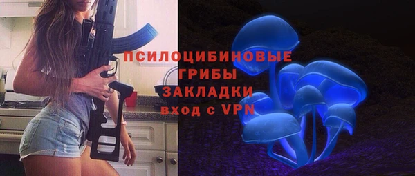 МДПВ Алзамай