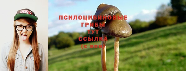 МДПВ Алзамай