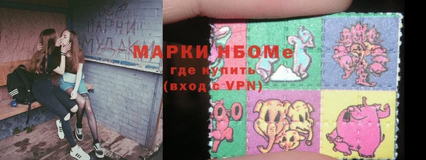 ПСИЛОЦИБИНОВЫЕ ГРИБЫ Арсеньев