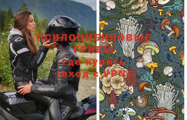стаф Алексеевка