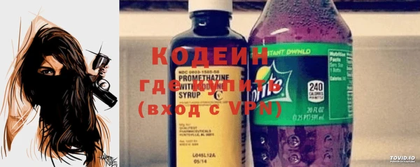 ПСИЛОЦИБИНОВЫЕ ГРИБЫ Арсеньев